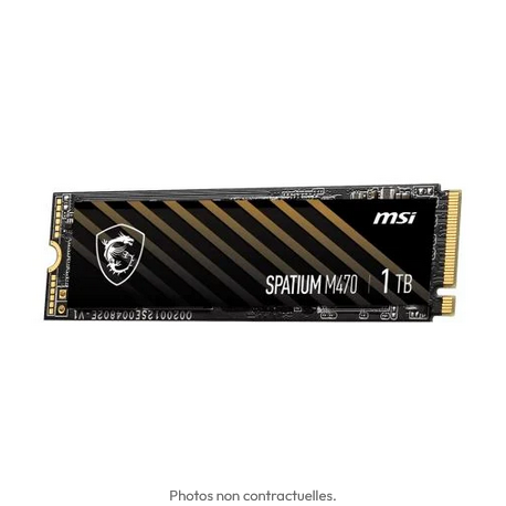 SSD M2 1TO MSI-M470