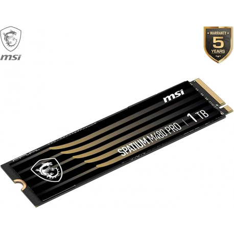 SSD M2 1TO MSI-M480P