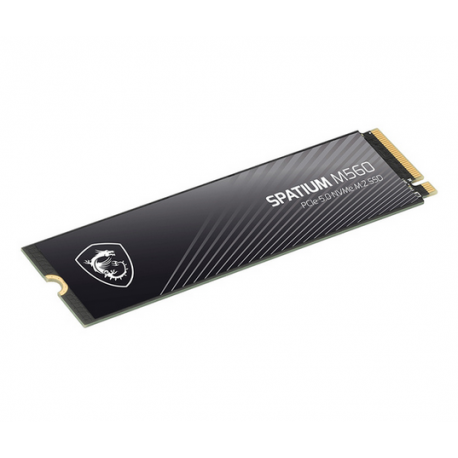 SSD M2 1TO MSI-M560