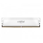 DDR5 16GB 6400 CPOCW