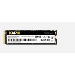 SSD M2 250 KAP10